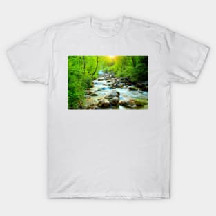 Mystic sun illuminating the Ambro river with gleaming waters T-Shirt